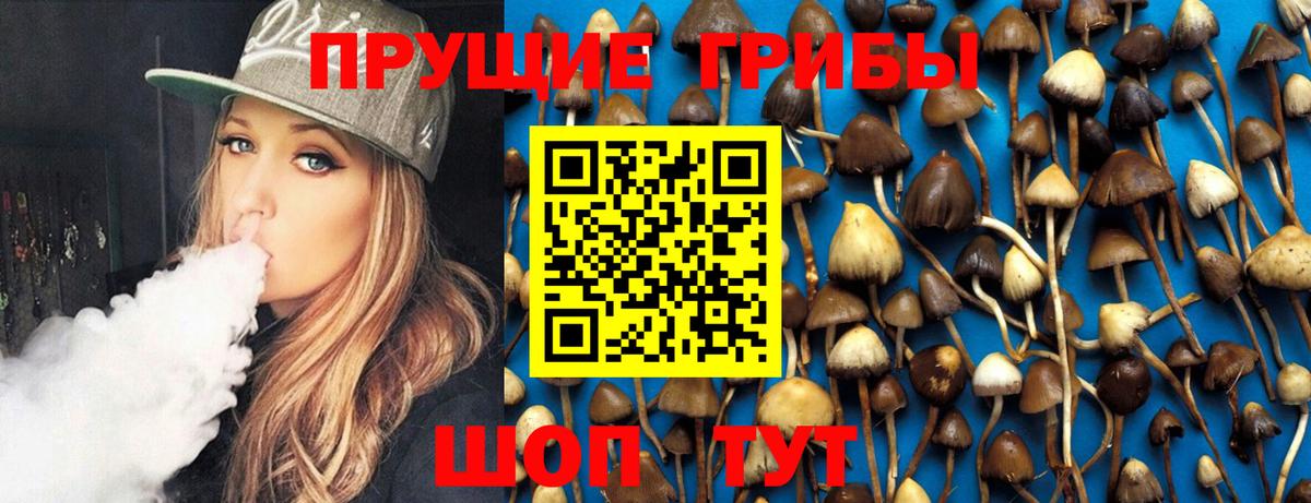 Псилоцибиновые грибы GOLDEN TEACHER  Вход с VPN  Галлюциногенные грибы мицелий  цена   Тайшет 